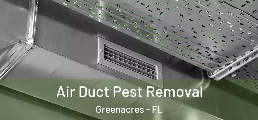  Air Duct Pest Removal Greenacres - FL