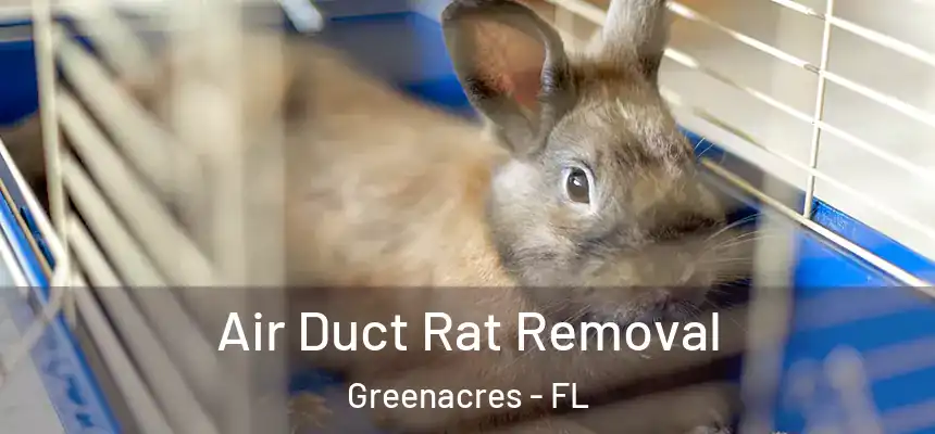  Air Duct Rat Removal Greenacres - FL