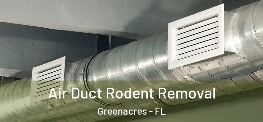  Air Duct Rodent Removal Greenacres - FL