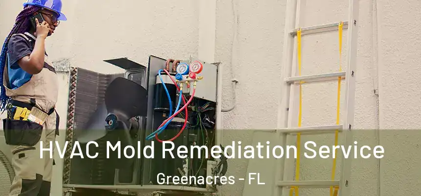 HVAC Mold Remediation Service Greenacres - FL