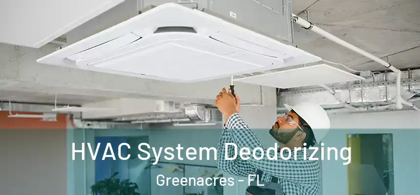 HVAC System Deodorizing Greenacres - FL