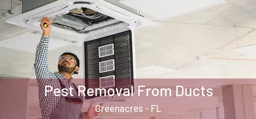  Pest Removal From Ducts Greenacres - FL