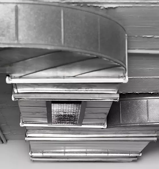 Professional Air Duct Pest Removal in Greenacres, FL