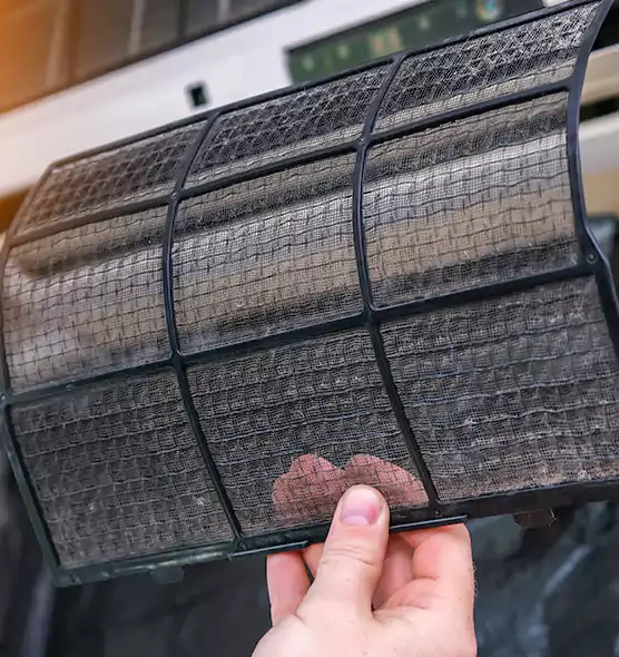 About Pet Dander Duct Cleaning in Greenacres, FL